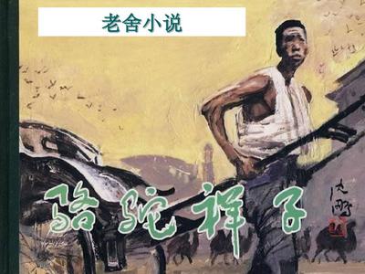 豆奶网页版